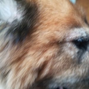 Meet your Posher, Christy